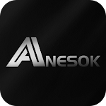 Cover Image of 下载 ANESOK  APK