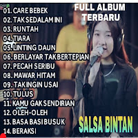 Care Bebek-Salsa Bintan Offlin