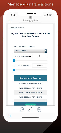 Bishopstown Credit Union Screen 2