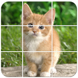 Pets Photo Puzzle icon