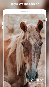 Horses Wallpapers: FULL HD 4K