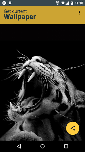 Get Current Wallpaper Screen 2