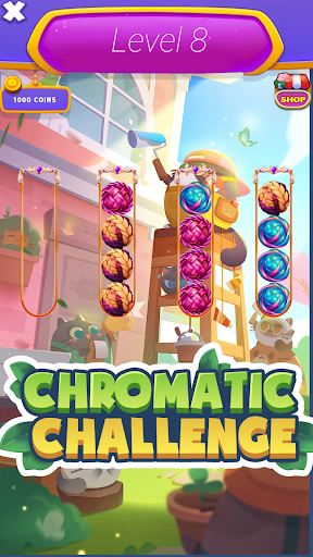 Chromatic Challenge: Braid Screen 2