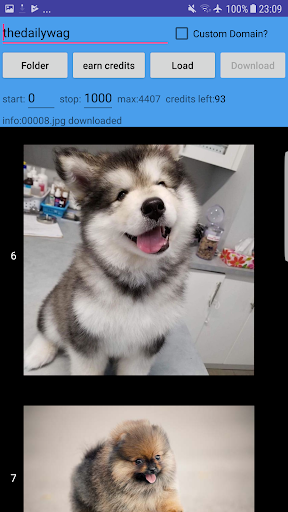 Tumbleer Viewer Downloader Screen 3