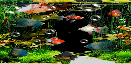 Aplikasi Wallpaper Aquarium 3d Image Num 11