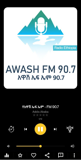 Ethiopia Radio Stations Screen 3