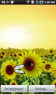 Sunflower LW Free + weather Screenshot