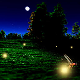 Ikonas attēls “Fireflies Live Wallpaper”
