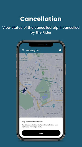 NewLiberty Taxi Driver Screen 3