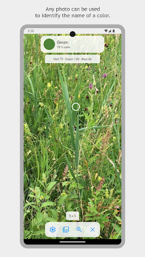 Name Color Screenshot 3 - AppWisp.com