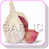 Best ways to Remove Garlic smell from your Mouth icon
