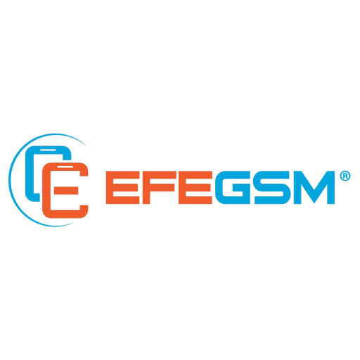 EFEGSM logo