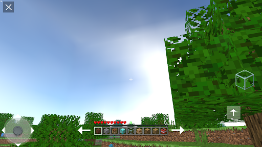 Mini Voxel Craft 3D 2021