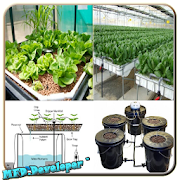 Diy hydroponics system plans