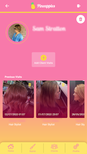Pineapples Screen 3