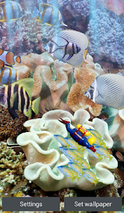 Die echten aquarium - LWP Screenshot