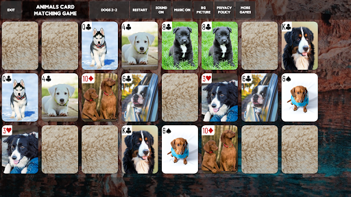 Animals Card Matching Game