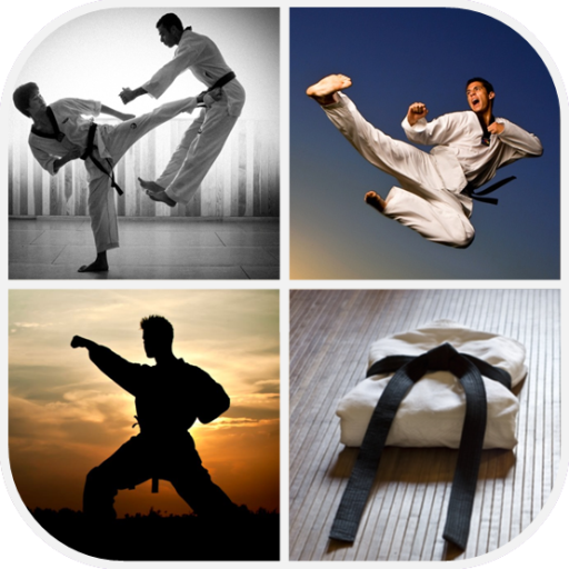 Martial Arts Wallpaper - Apps on Google Play