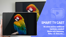 Smart TV Cast Screen Mirroringのおすすめ画像4
