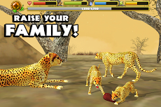 Cheetah Simulatorのおすすめ画像4