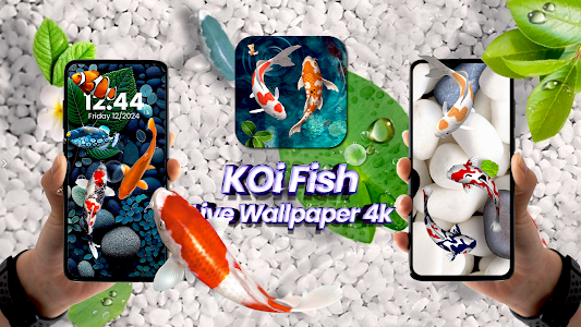 Koi Fish Live Wallpaper 4k Unknown