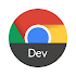 Chrome Dev98.0.4758.34