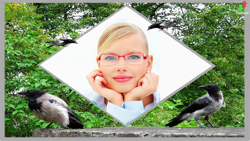 Summer Landscape Photo Frames