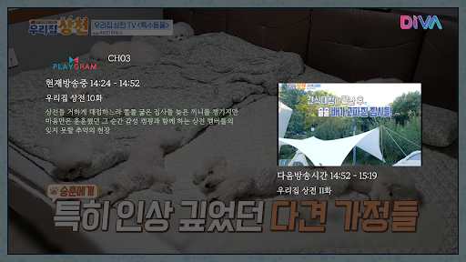 DIVA-라이브TV Screen 3