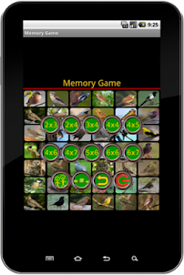 True Birds Memory Game