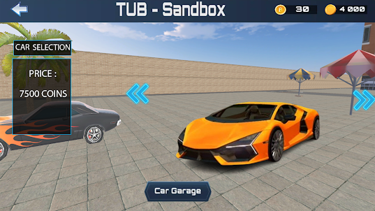 Tub Sandbox Multiplayer BTC
