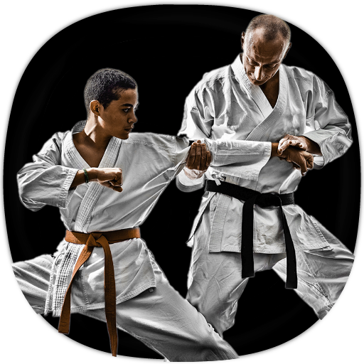 Karate Training Guide  Icon