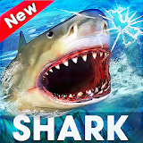 Real Shark Life - Shark Simulator Game icon