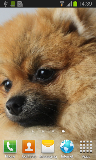 Spitz live wallpaper Screen 2