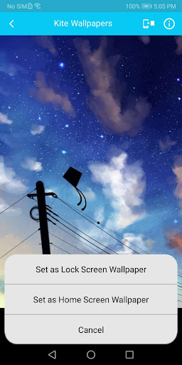Kites Images Wallpapers Screen 3