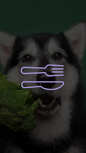 Android application Juggle Nutrition screenshort