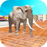 Animal Racing : Elephant icon
