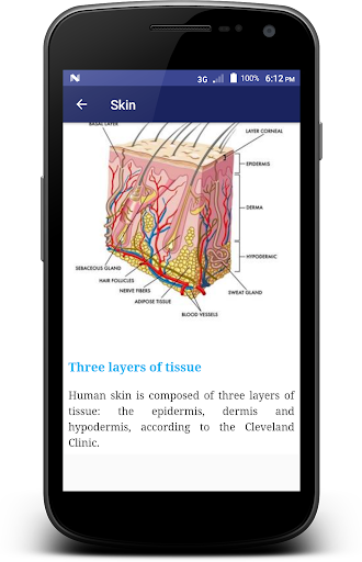Human Body Facts Screen 3