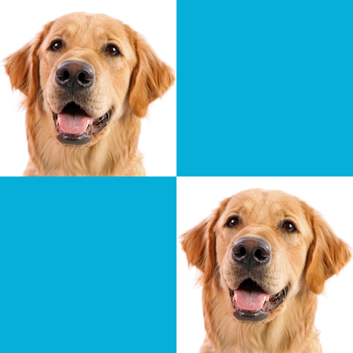 Picture Macth Game -Memory logo