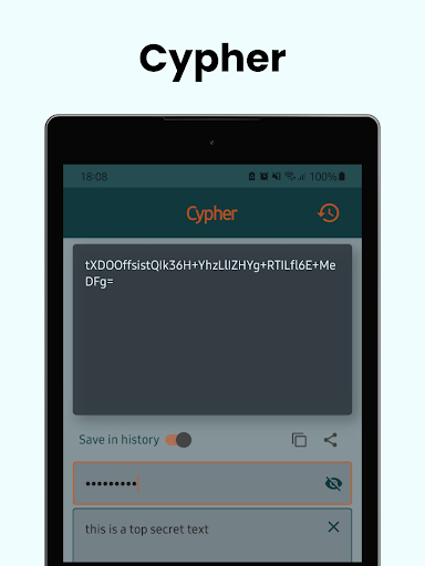 Cypher - text encryption Screen 3