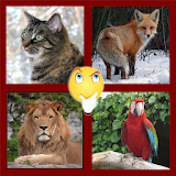 Zoomania - Animals Quiz icon