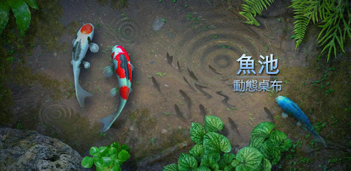 魚池動態桌布 Fish Pond Google Play 應用程式