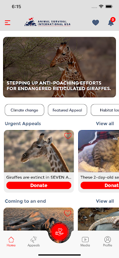 Animal Survival International Screen 3