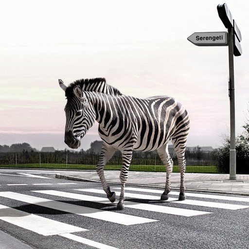 Zebra Wallpapers logo