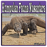 Kumpulan Fauna Nusantara icon