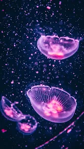Медузы Обои