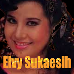 Cover Image of Baixar Mp3 Elvy Sukaesih  APK
