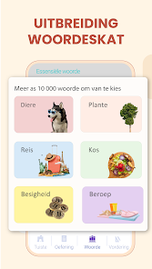 Skermkiekieprent