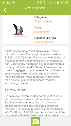 mYnest bird Screen 3