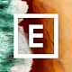 EyeEm – Appareil photo filtres Pour PC