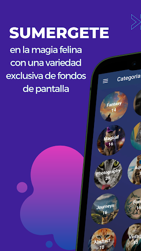 Vista previa de la aplicación